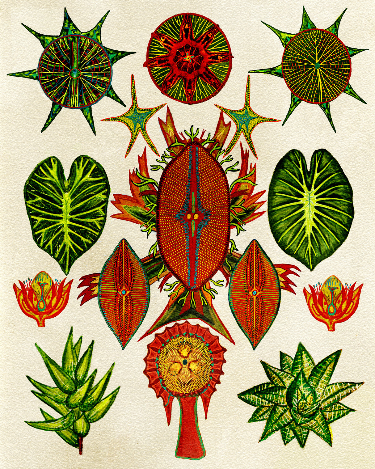 Botanical Invention Poster och Canvastavla