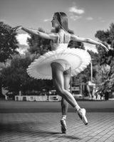 Ballerina Performance V Poster och Canvastavla