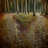 [another lonely heart in haunted woods] Poster och Canvastavla
