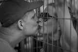 Love behind bars Poster och Canvastavla