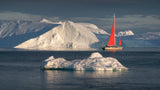 Sailboat between icebergs Poster och Canvastavla