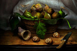Still Life with Figs Poster och Canvastavla