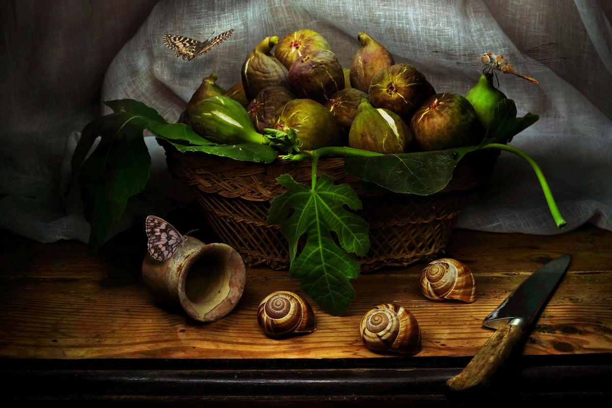 Still Life with Figs Poster och Canvastavla