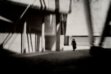 The Silent Crossing Poster och Canvastavla