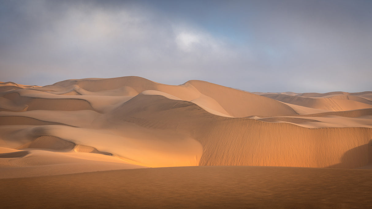 Namib Desert Poster och Canvastavla