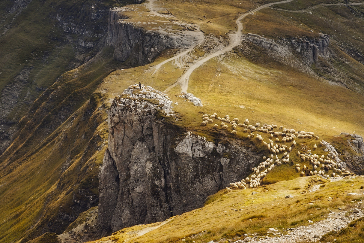 Alpine Pastures Poster och Canvastavla