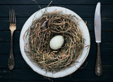 Cult of organic food Poster och Canvastavla
