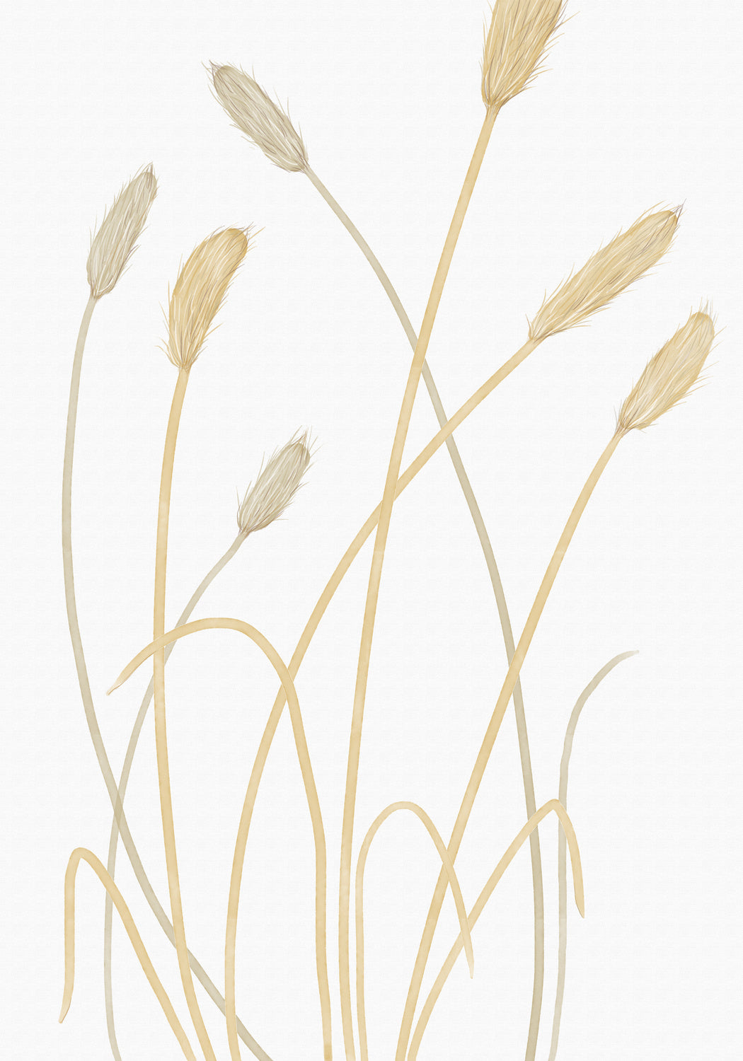 Bunny Grass 01 Poster och Canvastavla