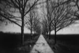Stepping Through The Shadows Poster och Canvastavla