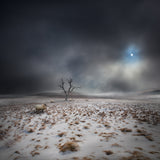 The Land OF The Midnight Sun Poster och Canvastavla
