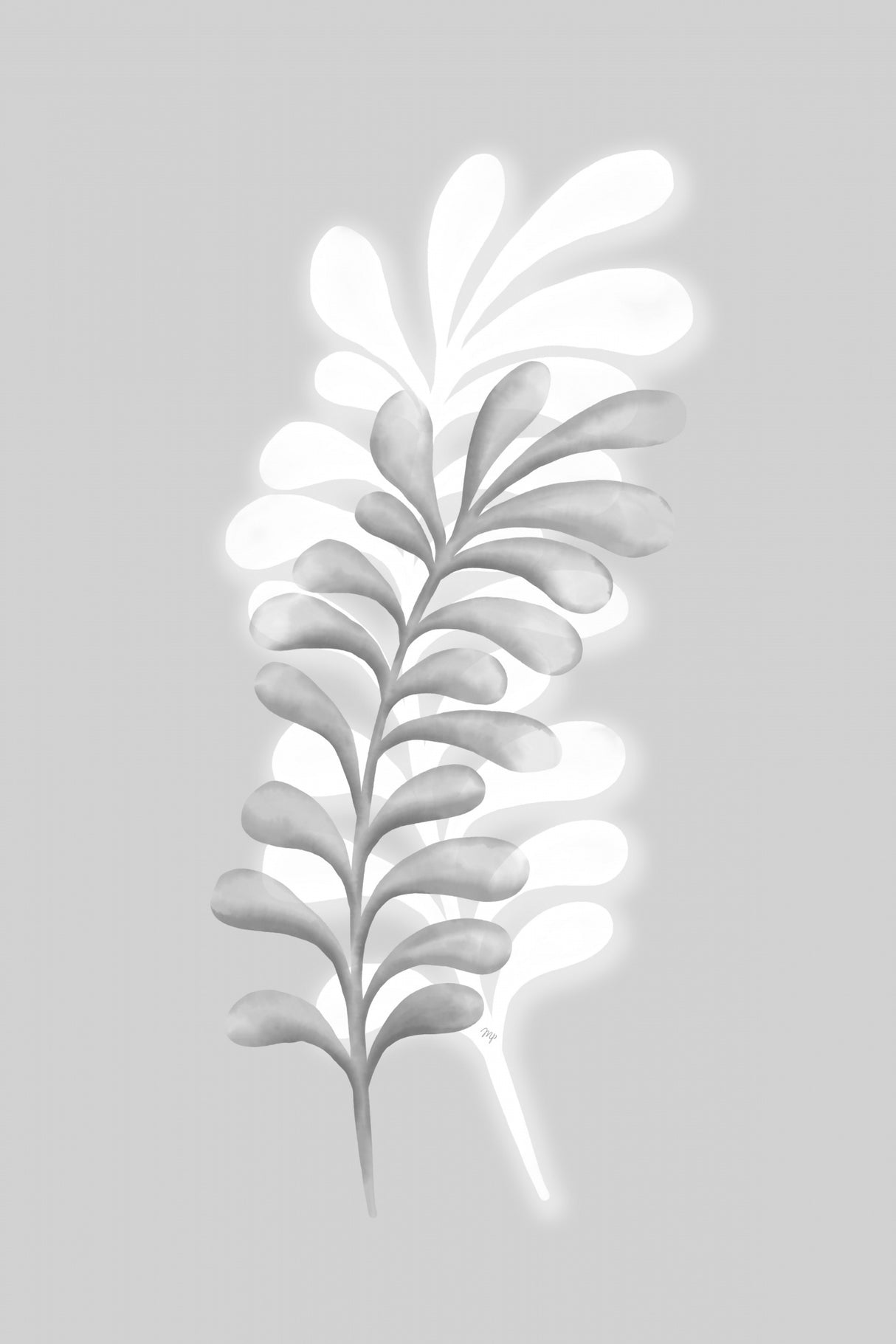 Grey Plants Poster och Canvastavla