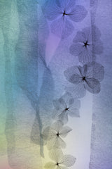 Flower Line Poster och Canvastavla