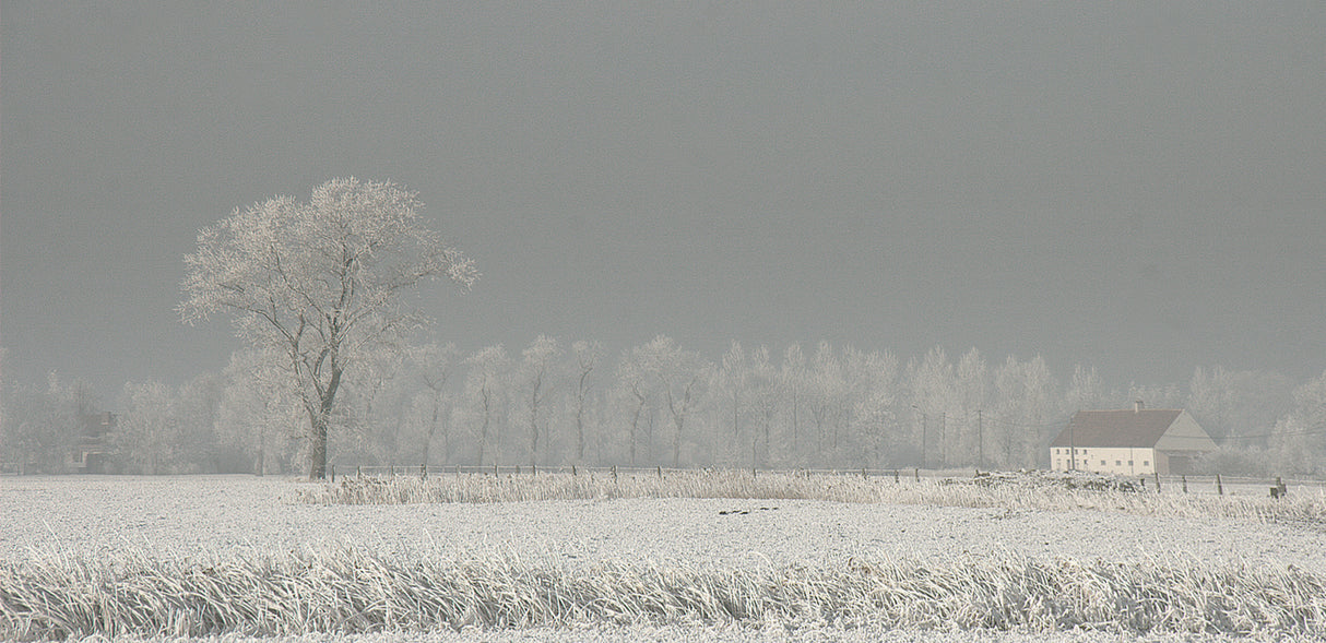 Winter Polderland... Winter Wonderland (2) Poster och Canvastavla