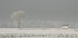 Winter Polderland... Winter Wonderland (2) Poster och Canvastavla