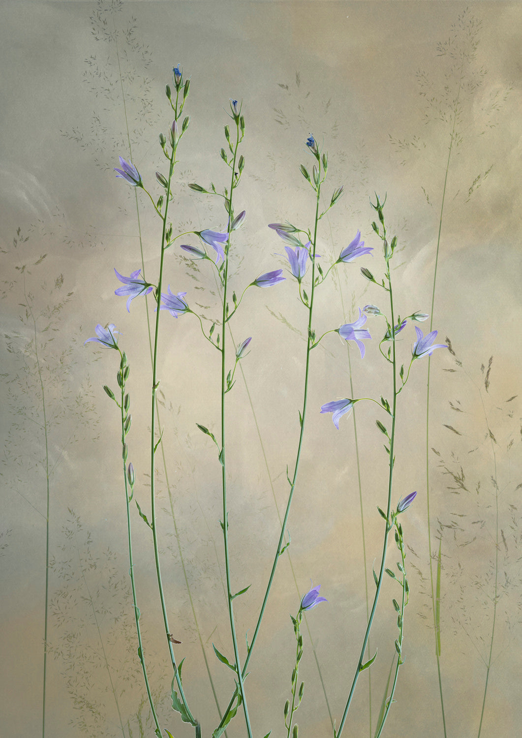 Lovely nature Poster och Canvastavla