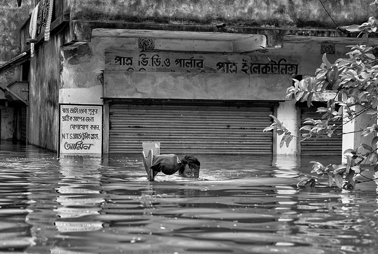 Submerged Poster och Canvastavla
