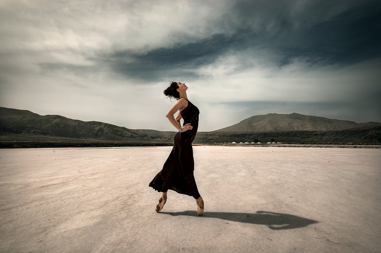 Ballerina on the salt lake Poster och Canvastavla