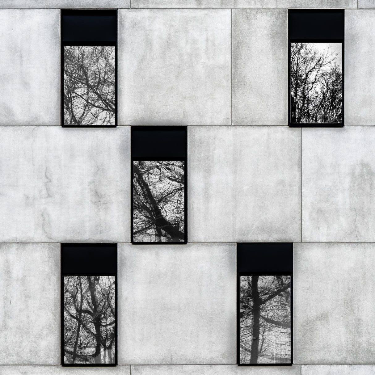 Winter windows Poster och Canvastavla