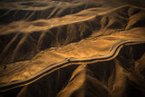 Lines from Nature Poster och Canvastavla