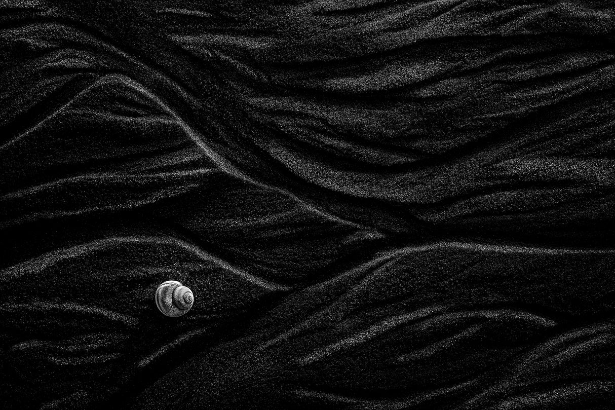 Sand and shell Poster och Canvastavla