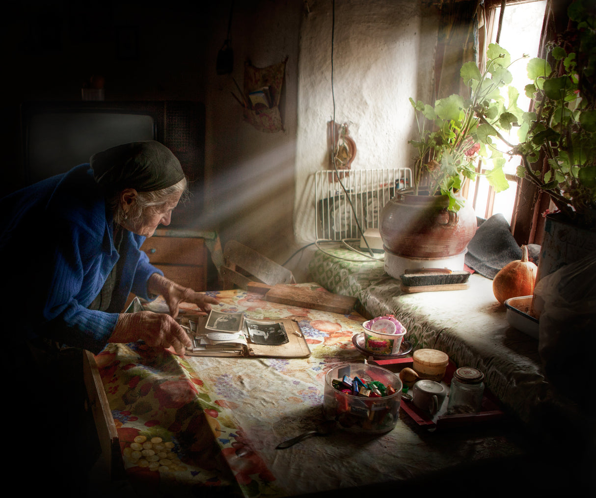 For living flowers, life and old memories Poster och Canvastavla