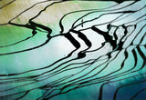 Rhythm of paddy field b Poster och Canvastavla