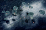 Plant in the galaxy Poster och Canvastavla