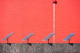 Captured sunbeams Poster och Canvastavla