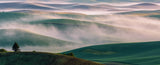 Dream Land in Morning Mist-1 Poster och Canvastavla