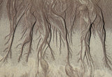 Low tide Poster och Canvastavla