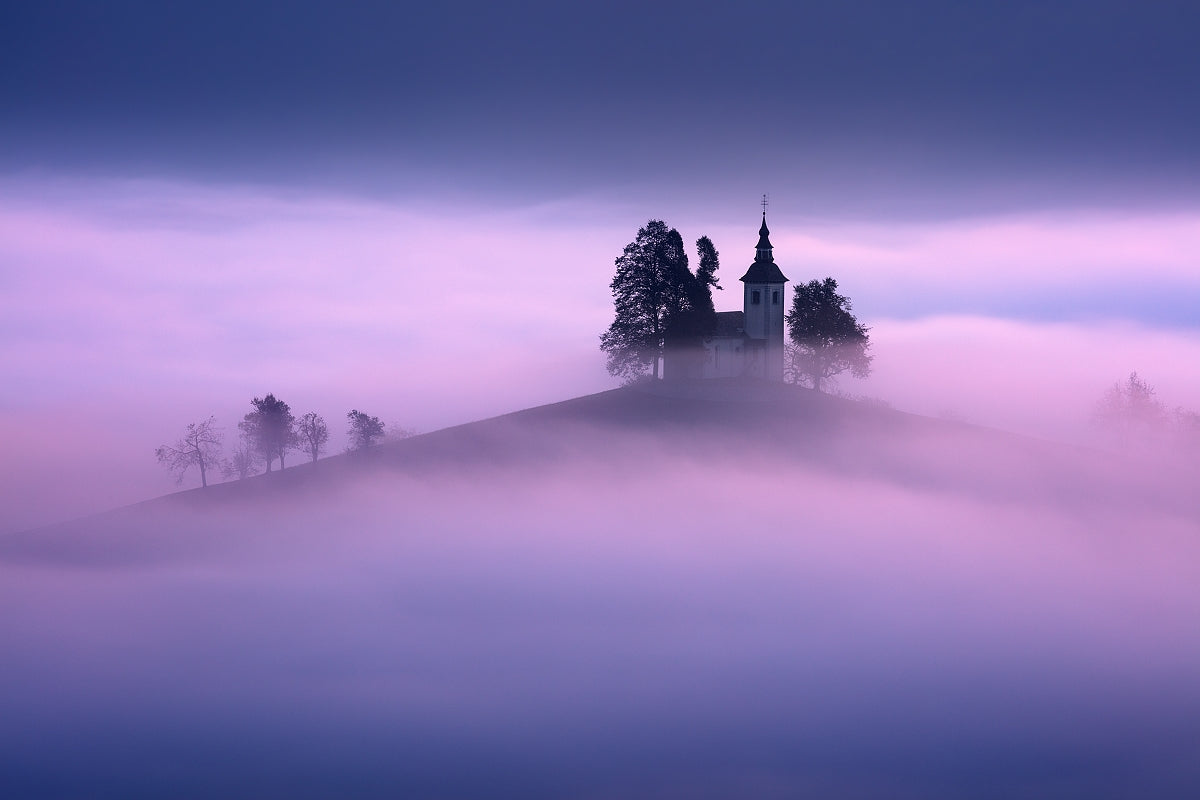 In the morning fog... Poster och Canvastavla