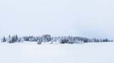The kingdom of silence Poster och Canvastavla
