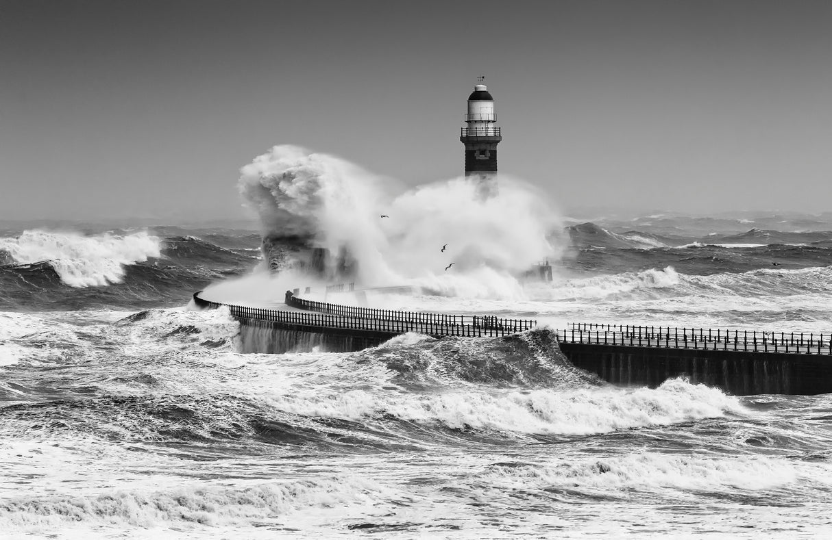 Power of the Sea Poster och Canvastavla