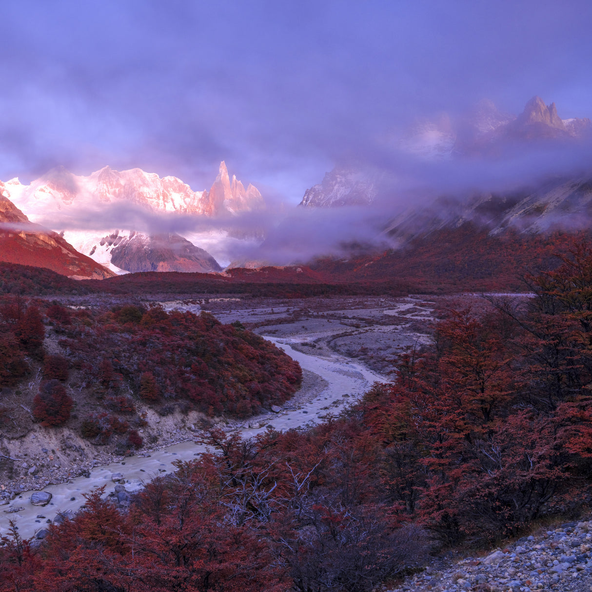 Foggy  morning in Patagonia Poster och Canvastavla