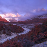Foggy  morning in Patagonia Poster och Canvastavla
