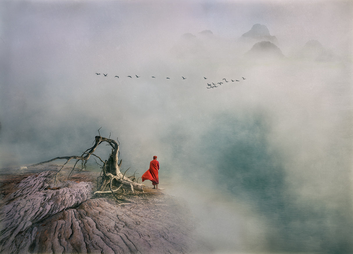 A Soul Searching Journey Poster och Canvastavla