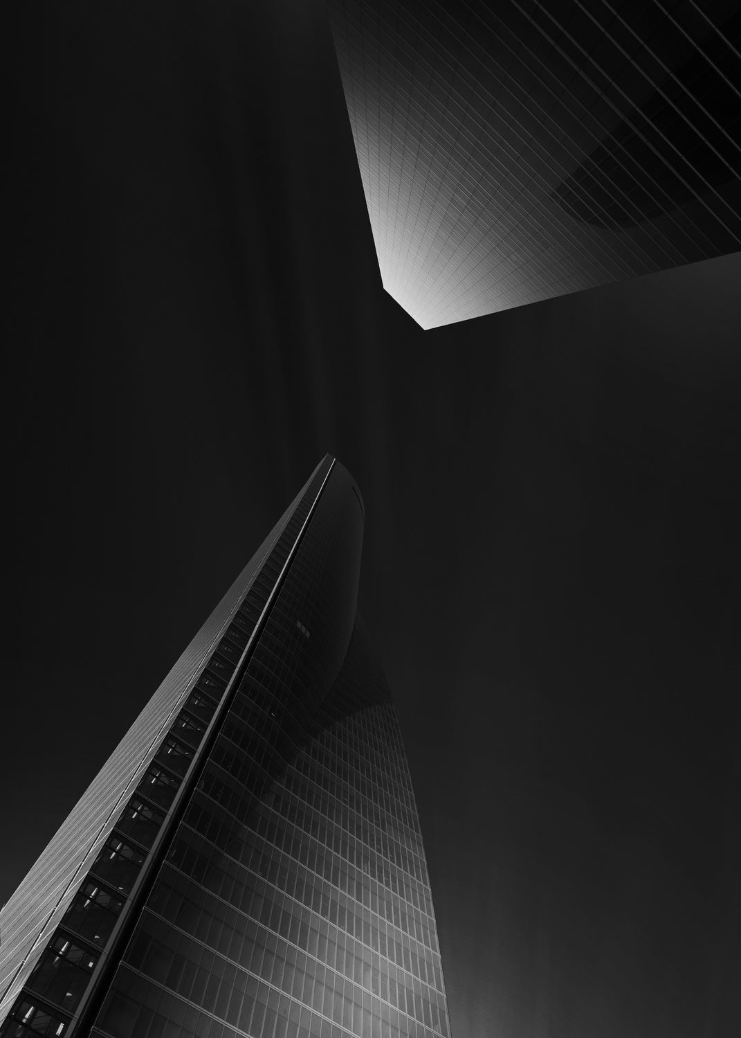 Back in black Poster och Canvastavla