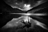 Wicklow glendalough Poster och Canvastavla