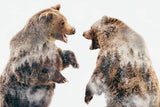 Wild Conflicts Poster och Canvastavla