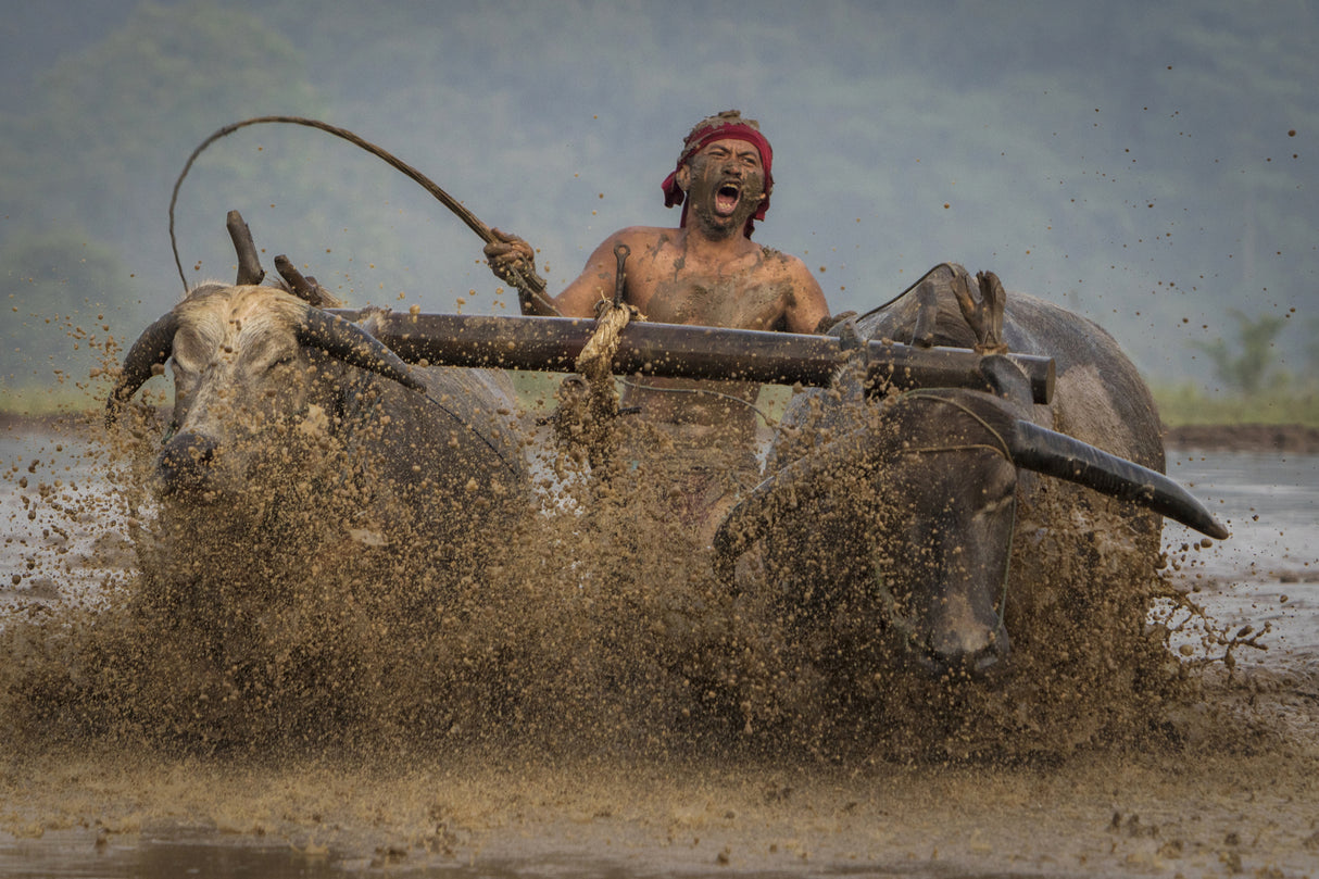 Plowing the fields Poster och Canvastavla