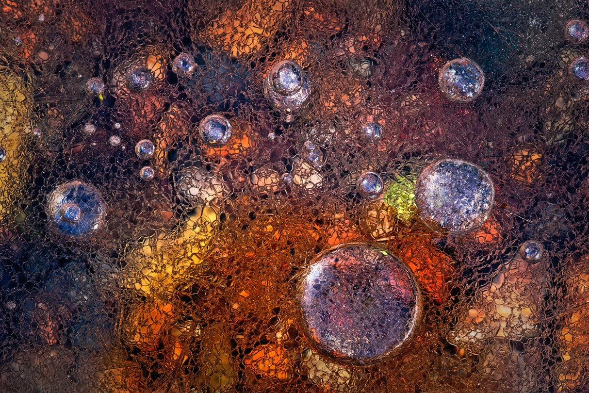 Winter Over Autumn Poster och Canvastavla