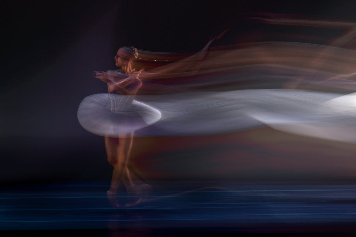Ballerina Poster och Canvastavla