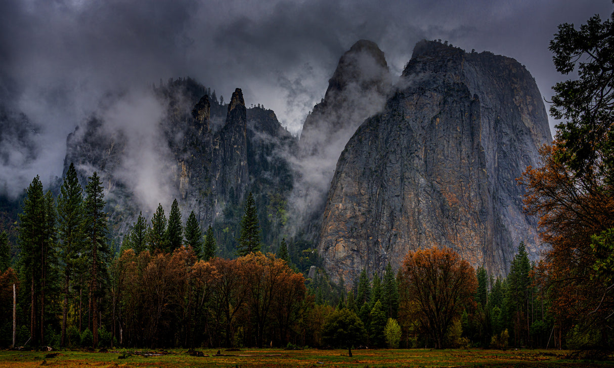 Yosemite after rain Poster och Canvastavla
