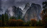 Yosemite after rain Poster och Canvastavla