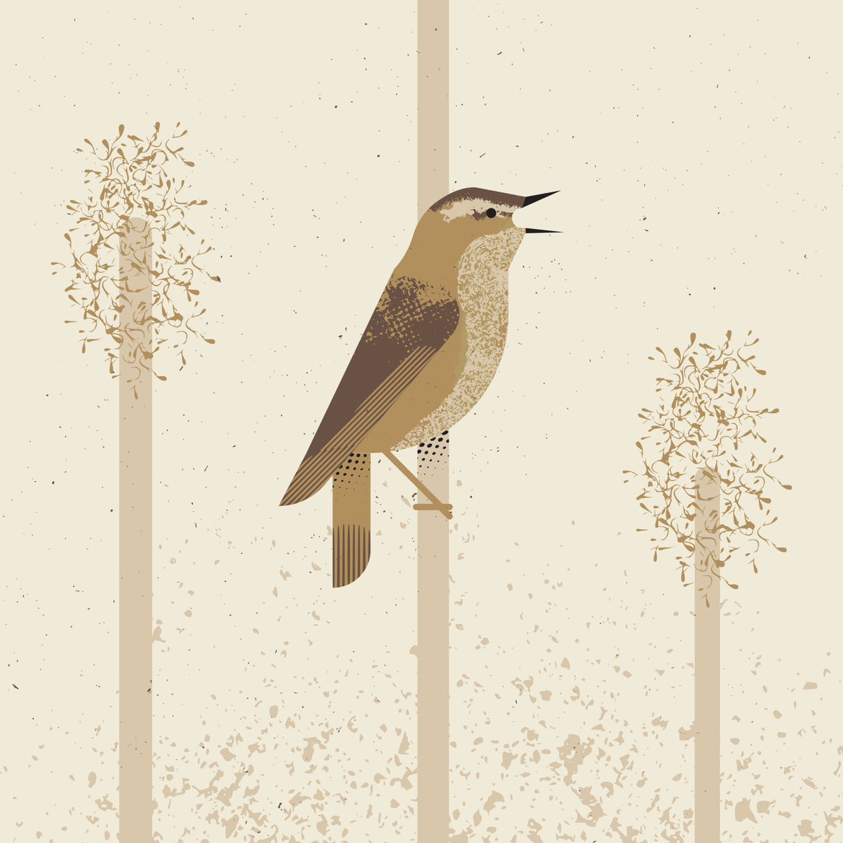 Sedge Warbler Poster och Canvastavla