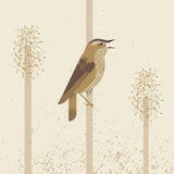 Sedge Warbler Poster och Canvastavla