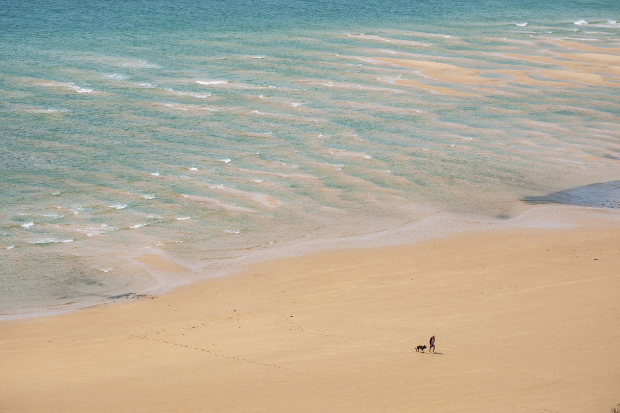 Walking on the beach Poster och Canvastavla