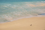 Walking on the beach Poster och Canvastavla