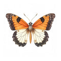 Butterfly 44 Poster och Canvastavla
