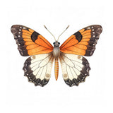 Butterfly 44 Poster och Canvastavla